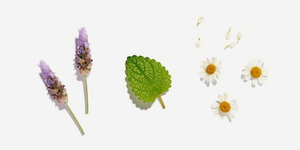 Calming Tea by Love Tea
