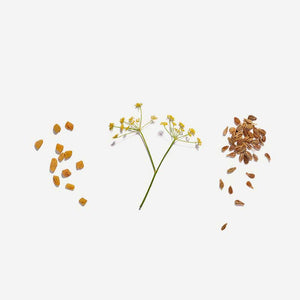 Breastfeeding Tea by Love Tea